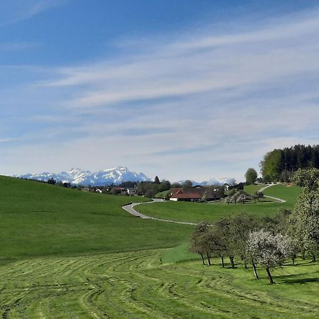 Ferienwohnung Pusteblume Neukirch  ภายนอก รูปภาพ