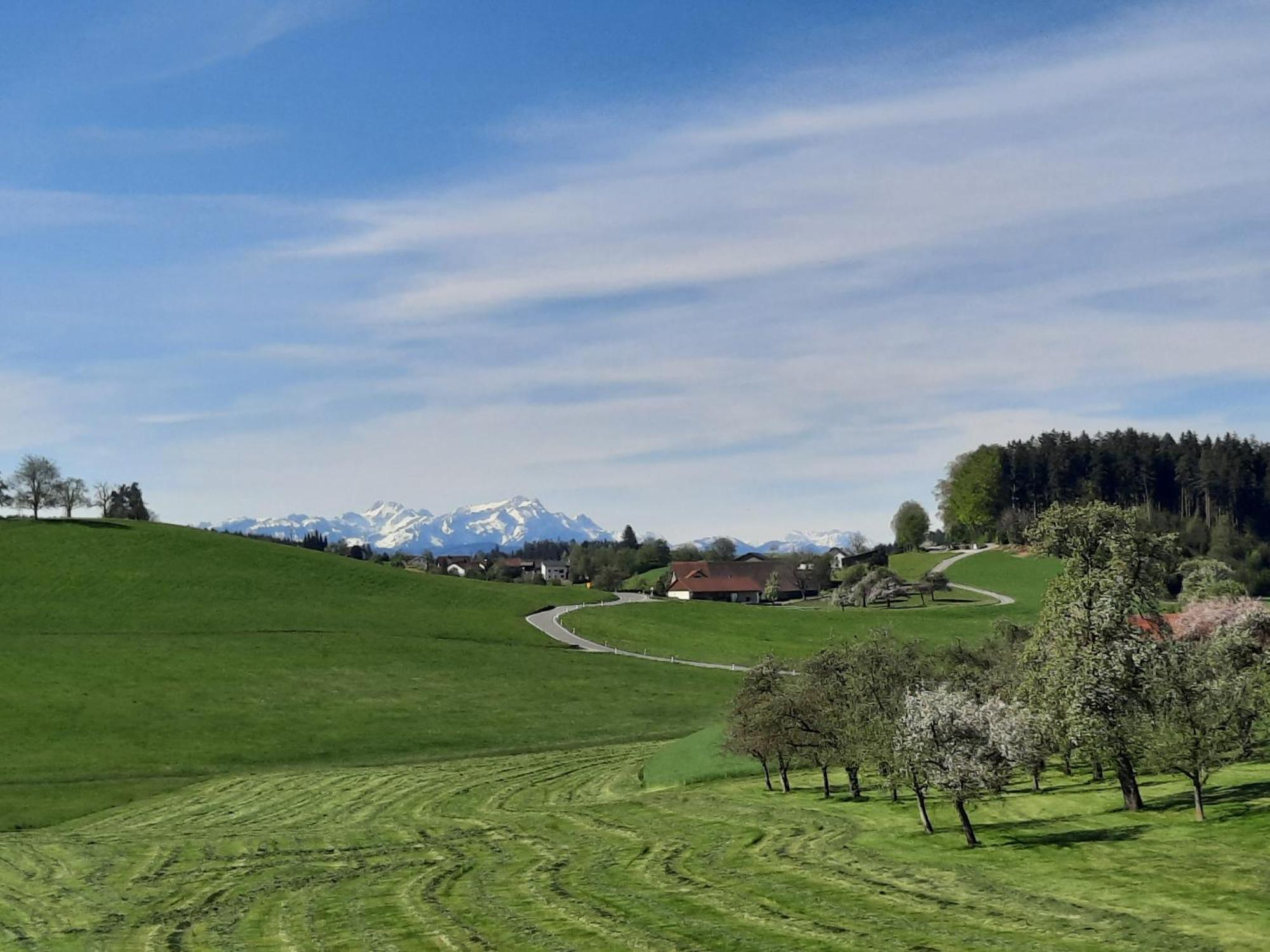 Ferienwohnung Pusteblume Neukirch  ภายนอก รูปภาพ